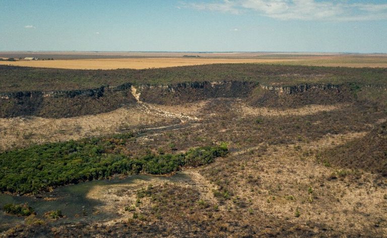 Após cinco anos de aumento, desmatamento no Cerrado tem queda