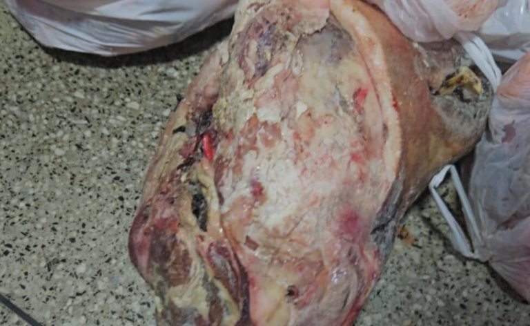 Carne Estragada Nordeste Goiano