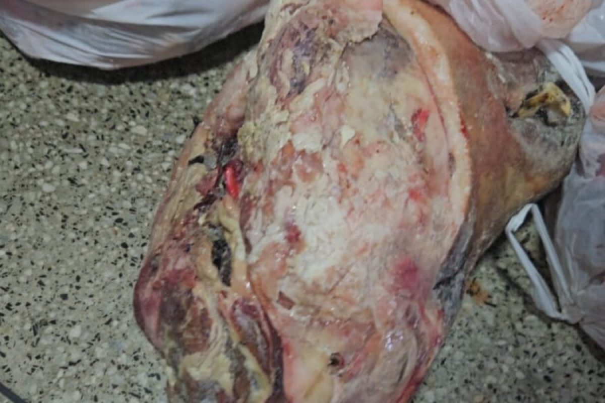 Carne Estragada Nordeste Goiano Carne Estragada Nordeste Goiano