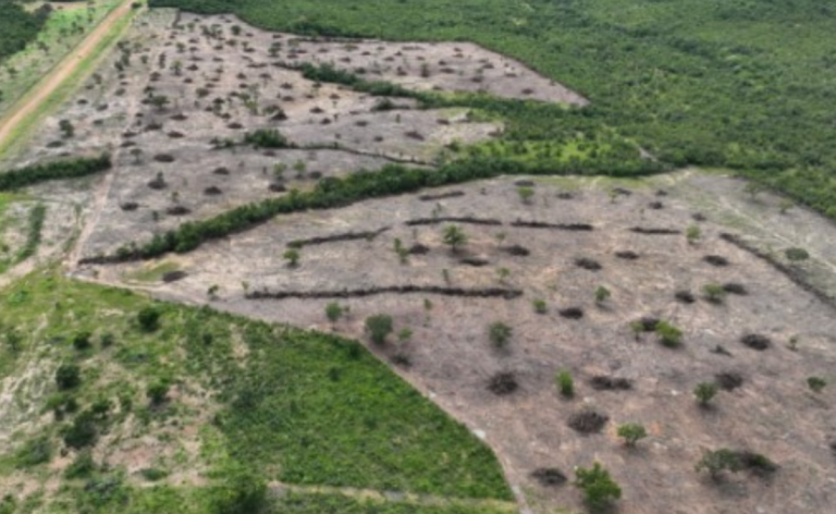 Desmatamento em Teresina de Goiás (Foto- Divulgação)