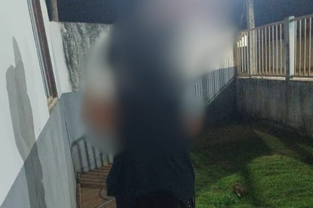 Flores Goias Estrupador Flores Goias Estrupador