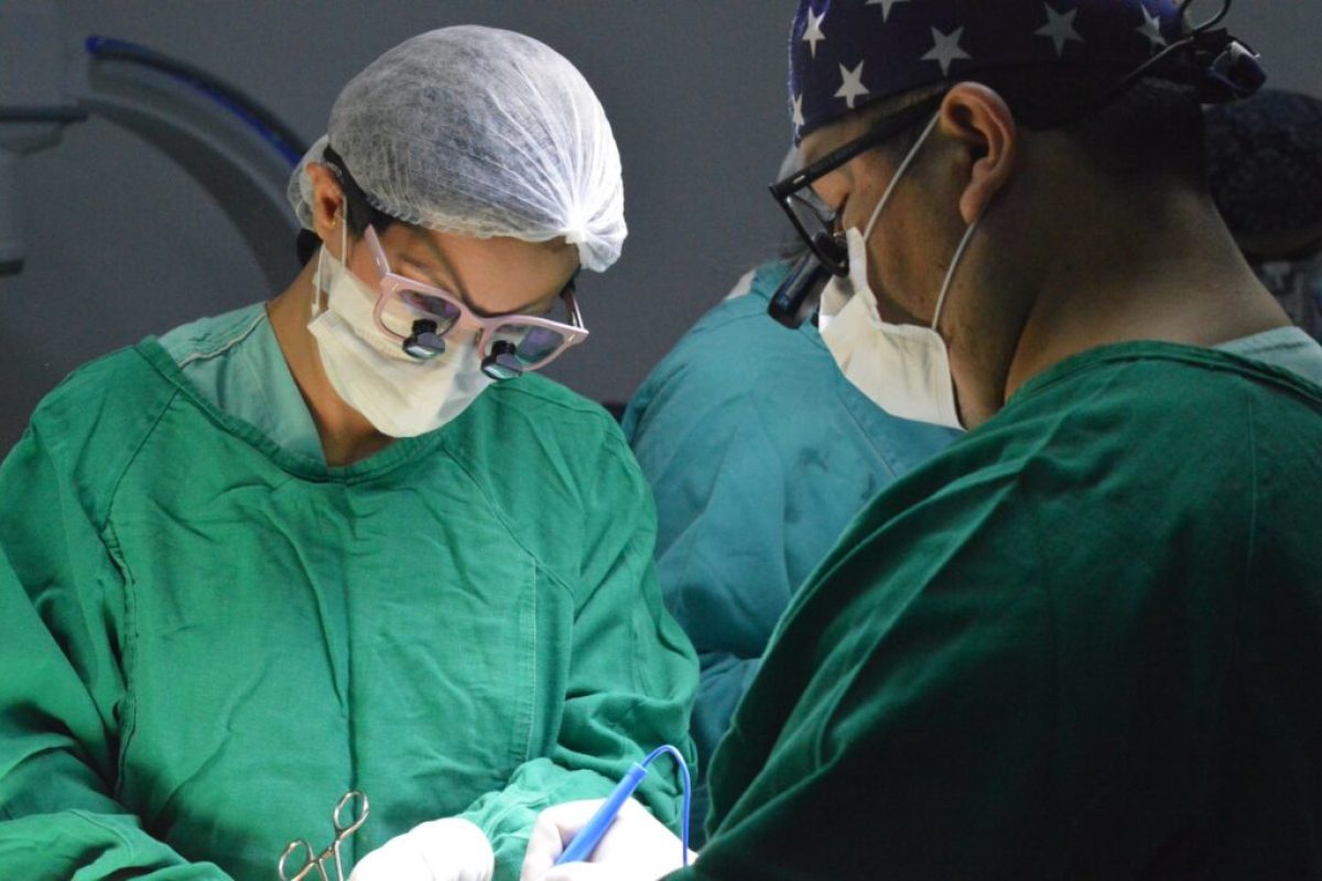 Foto: Braz Silva / Imed