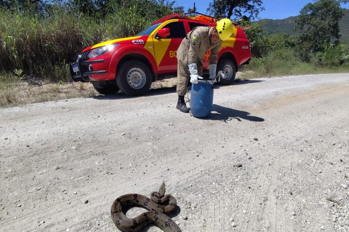 Giobia Campos Belos Giobia Campos Belos