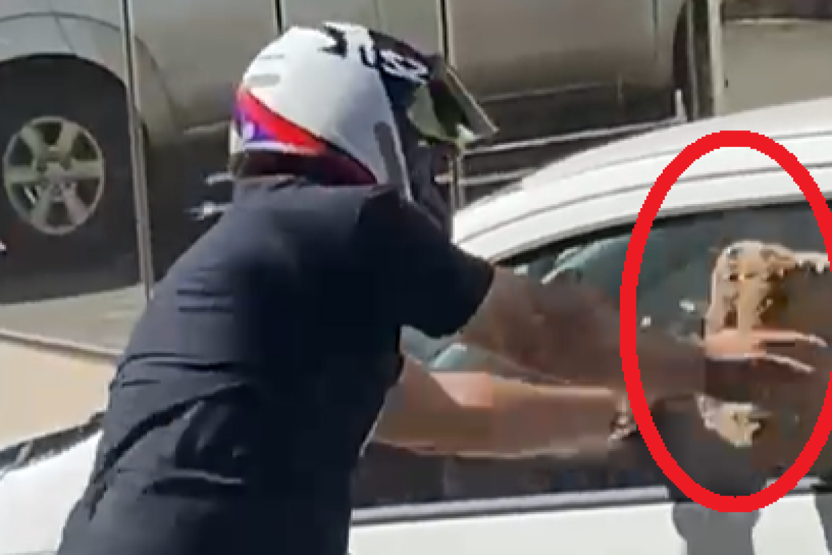 Home Quebra vidro de Carro em Goiás