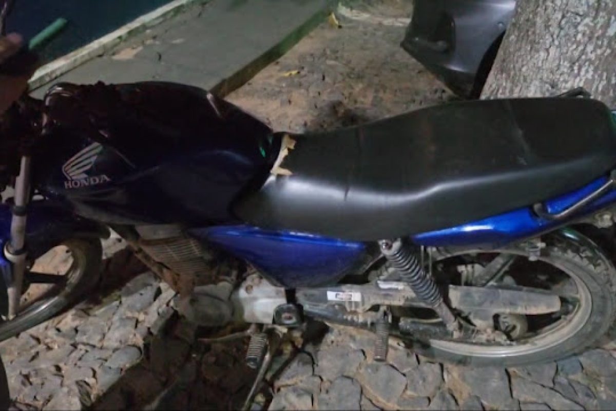 IMG_20241109_115349.jpg IMG_20241109_115349.jpg