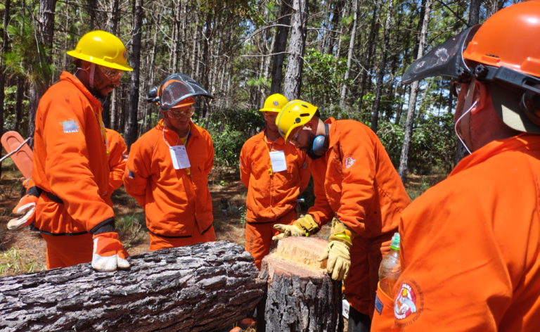 Kalungas Terinamento Florestal