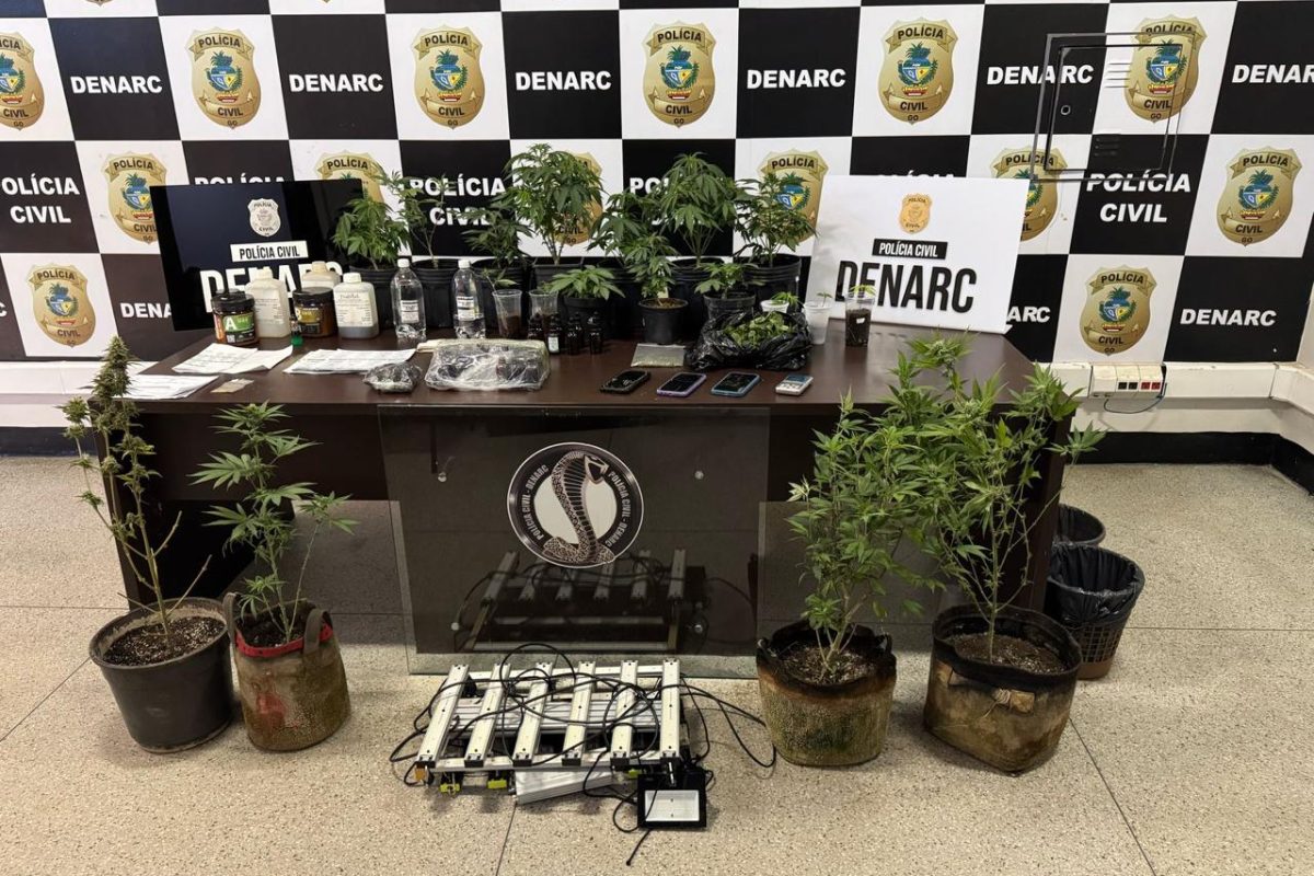 Maconha PC Maconha PC