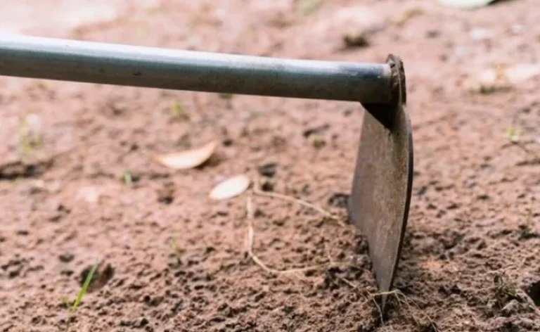 Operario Morto em Formosa