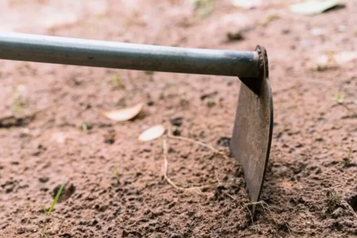 Operario Morto em Formosa