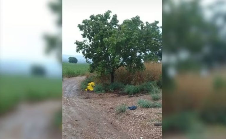 Raio Mata em Goiás