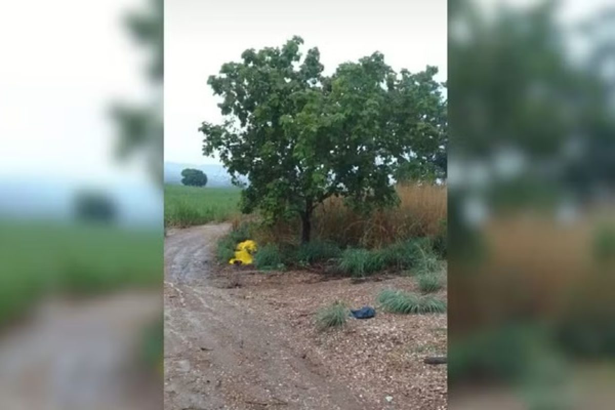 Raio Mata em Goiás