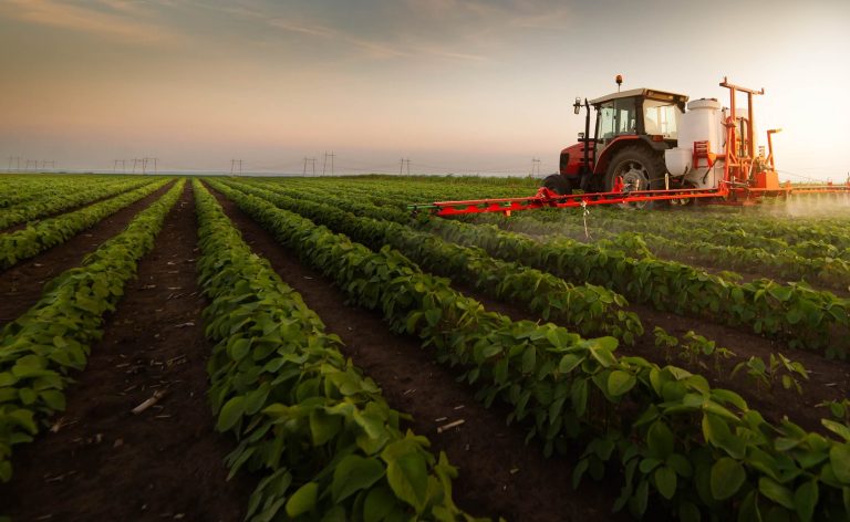 Imagem: Divulgação - Goiás encerrou 2025 com 2.220 novos postos de trabalho na agropecuária, crescimento de 166,5% em relação ao ano anterior, destacando-se como um dos estados com maior geração de empregos no setor.